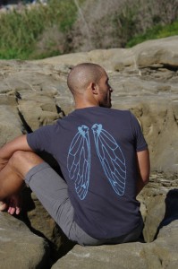 1105_cicadawingshirt